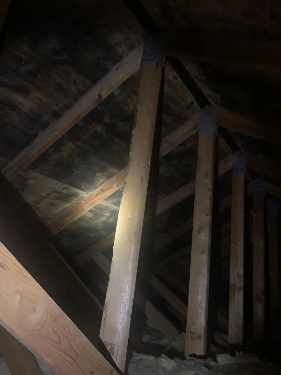 Business 22 image ADVANTACLEAN OF SOUTHWEST MINNEAPOLIS
