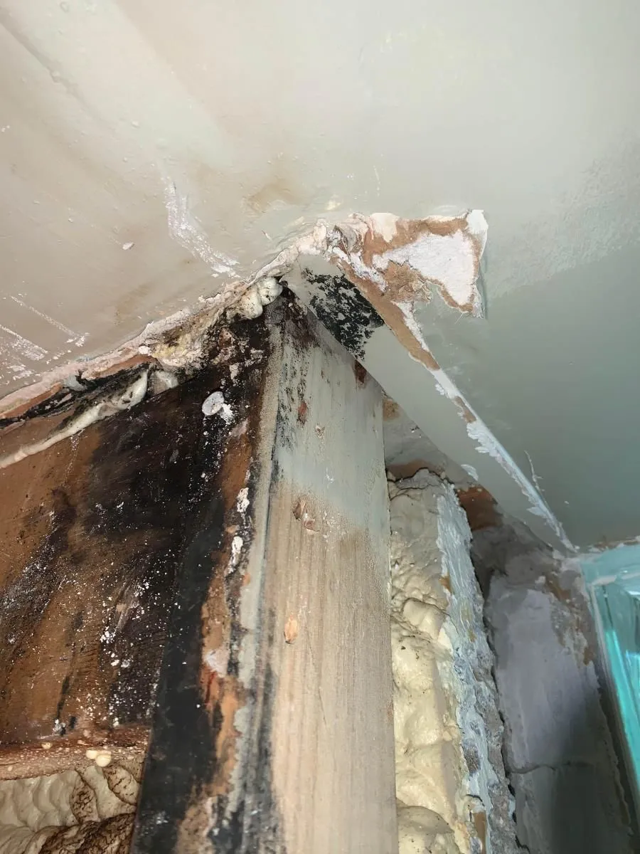 Business 43 image ADVANTACLEAN OF SOUTHWEST MINNEAPOLIS