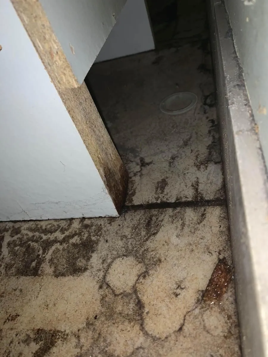 Business 45 image ADVANTACLEAN OF SOUTHWEST MINNEAPOLIS
