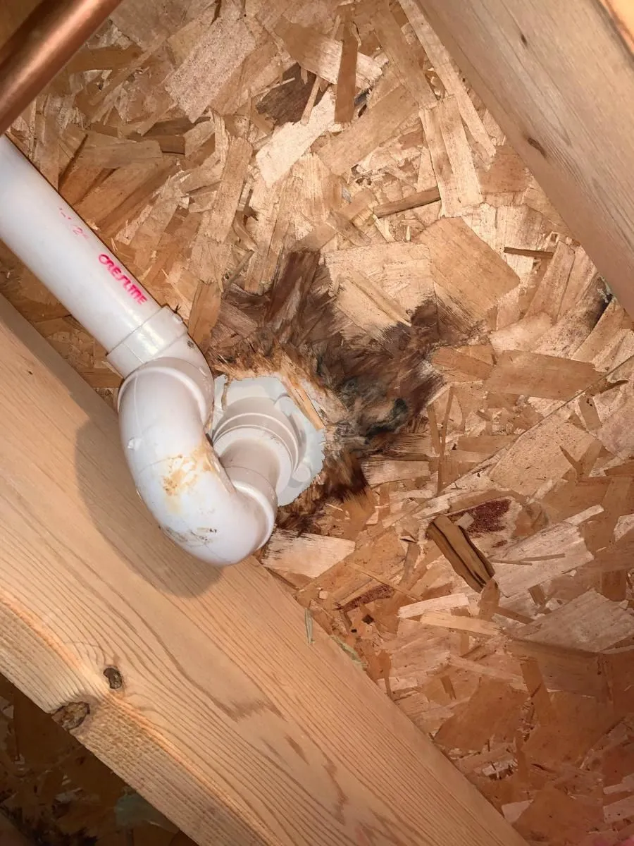 Business 47 image ADVANTACLEAN OF SOUTHWEST MINNEAPOLIS