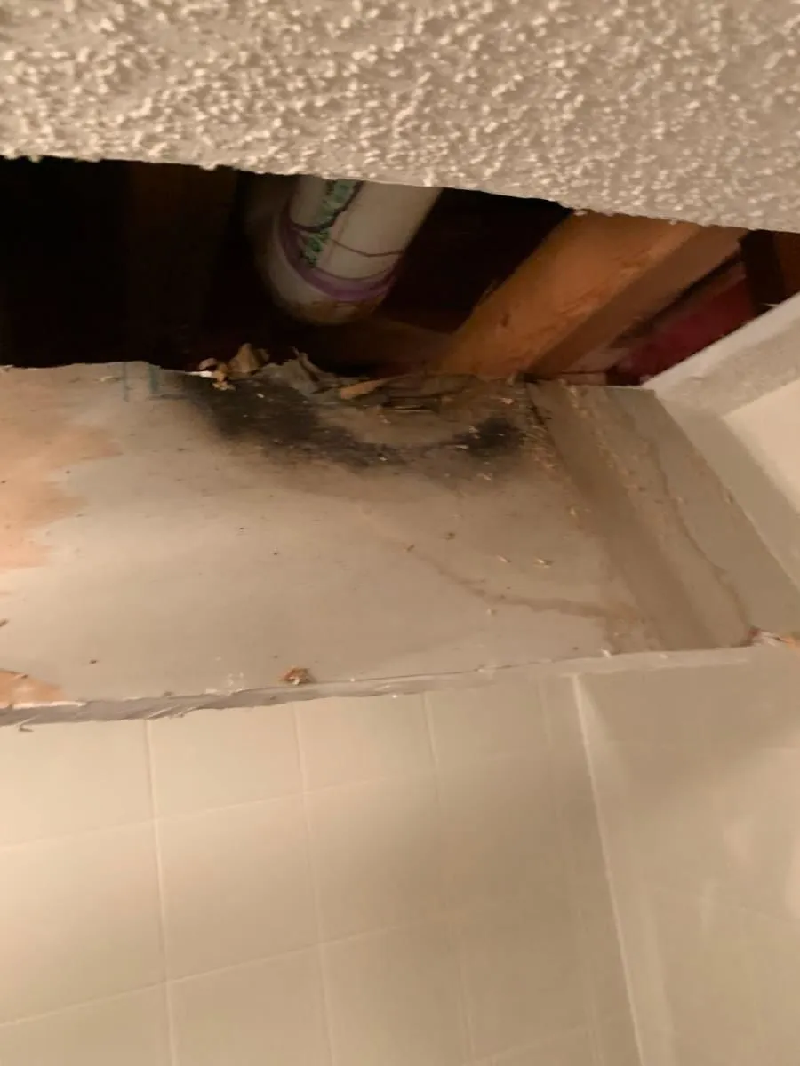 Business 49 image ADVANTACLEAN OF SOUTHWEST MINNEAPOLIS