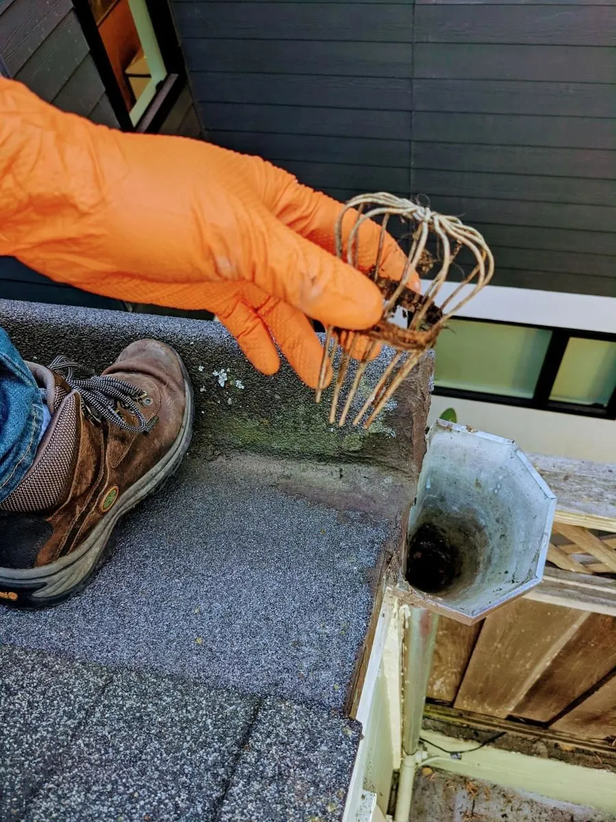Business 41 image EAGLE WINDOW CLEANING
