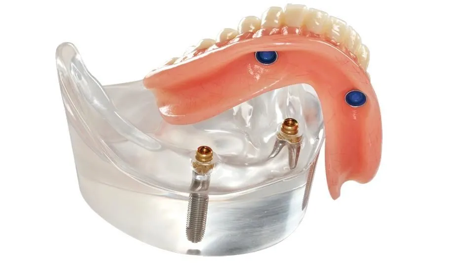 Business 2 image COMFY DENTURE & HEARING