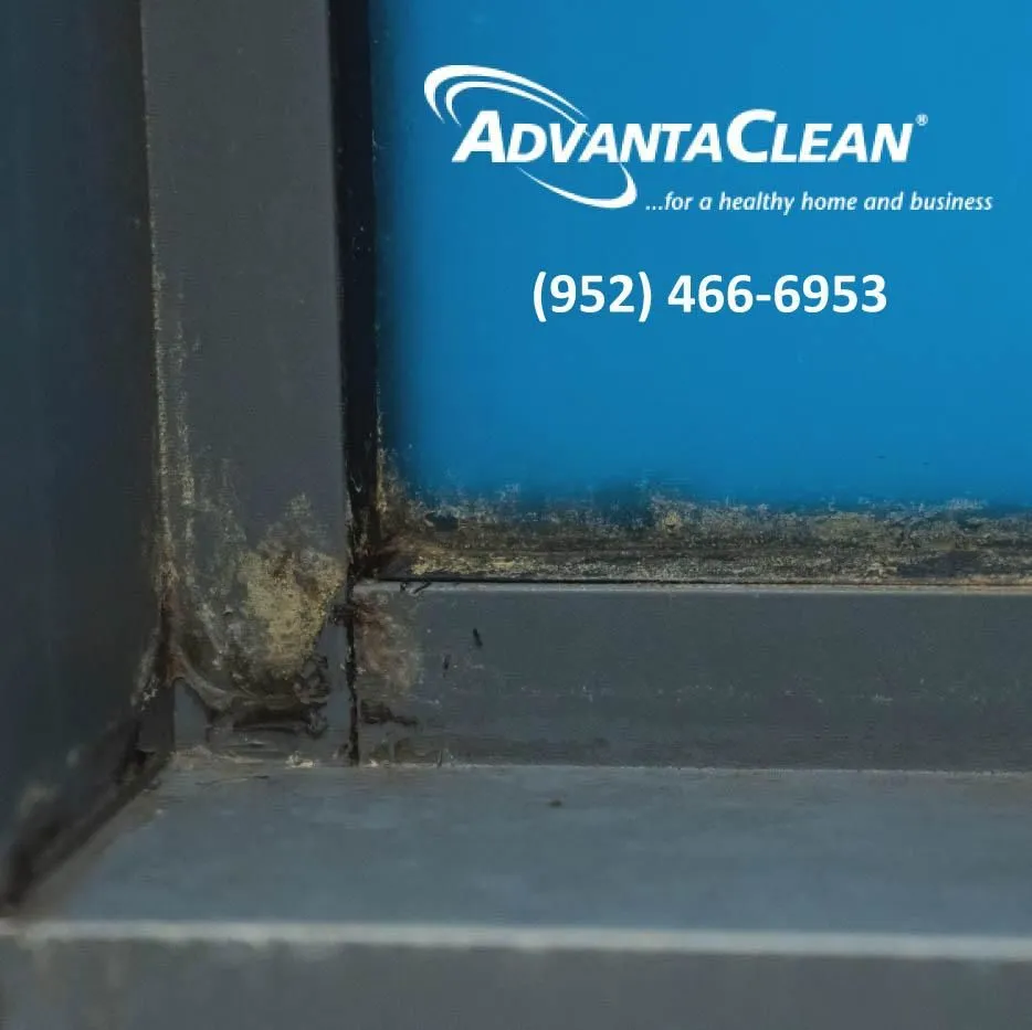 Business 18 image ADVANTACLEAN OF SOUTHWEST MINNEAPOLIS