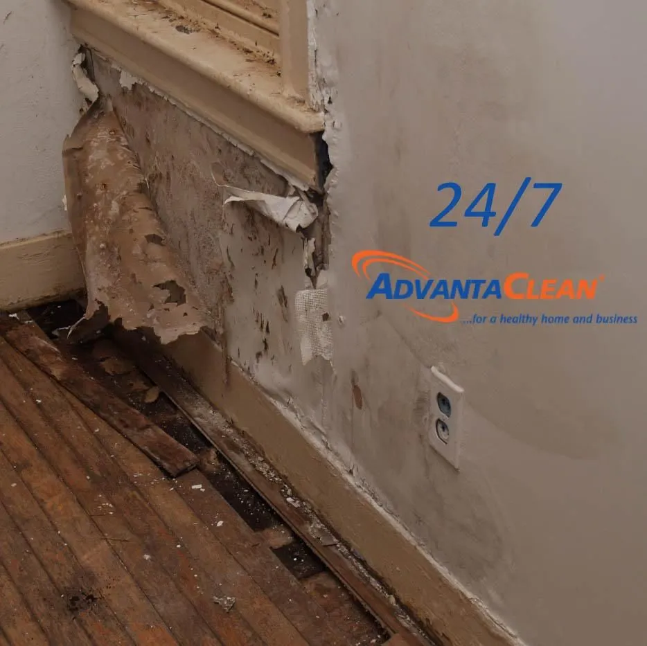 Business 27 image ADVANTACLEAN OF SOUTHWEST MINNEAPOLIS