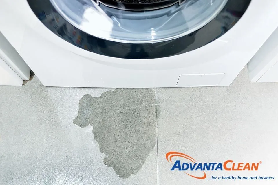 Business 6 image ADVANTACLEAN OF SOUTHWEST MINNEAPOLIS