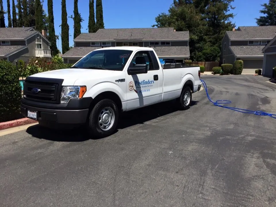 Business 3 image PESTFINDERS