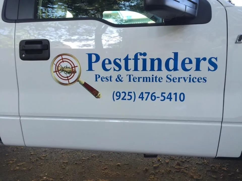 Business 4 image PESTFINDERS