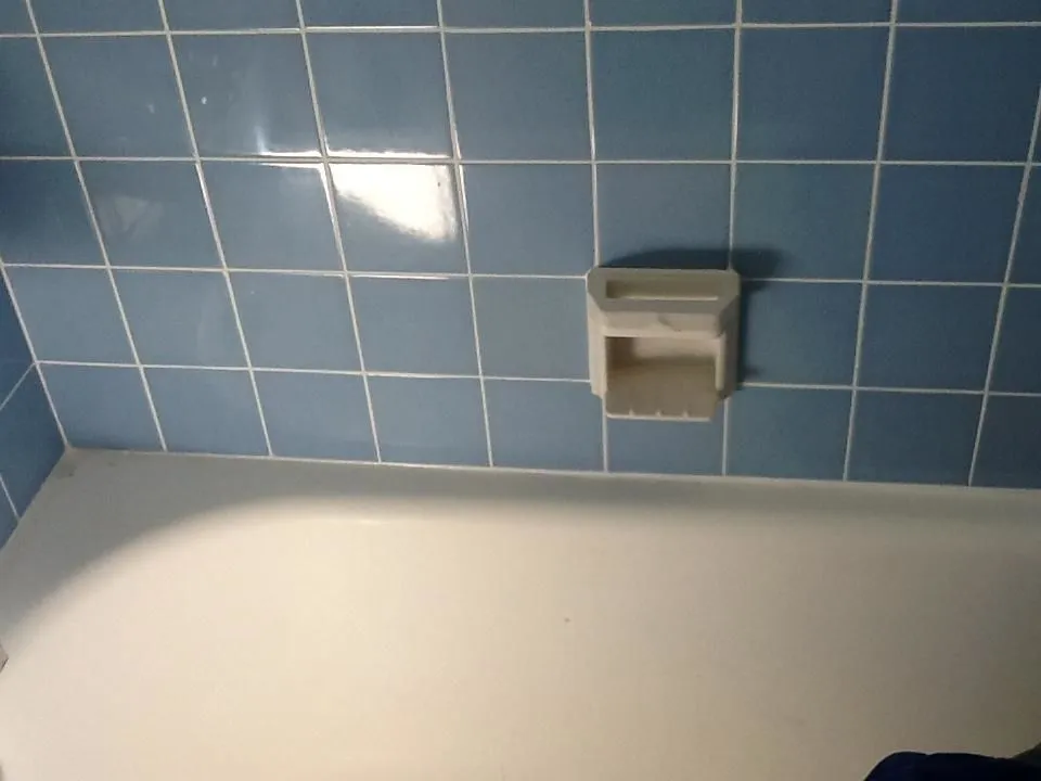 Business 1 image PRO GROUT