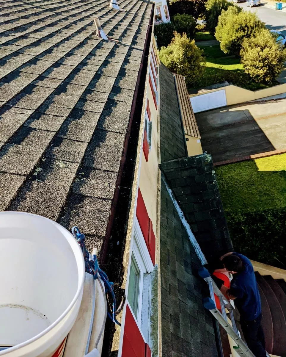 Business 77 image EAGLE WINDOW CLEANING