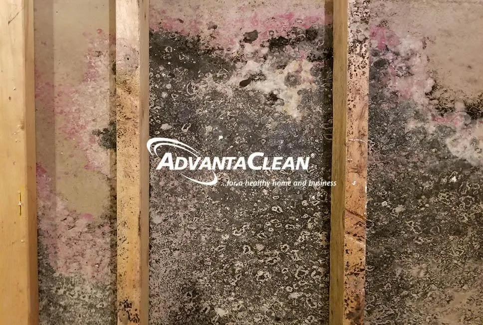 Business 11 image ADVANTACLEAN OF SOUTHWEST MINNEAPOLIS