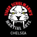 TIGER SCHULMANN'S MARTIAL ARTS (CHELSEA, NY) Personal Trainers in New York NY