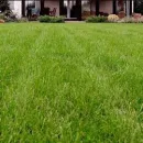JE LANDSCAPING COMPANY Tree Service in San Diego CA
