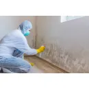 SILICON VALLEY CAPITAL WATER DAMAGE EXPERTS Water Damage Damage Claims in San Jose CA