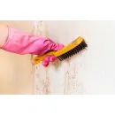 MOLD EXPERTS OF DIRTY T Home Inspectors in Tucson AZ