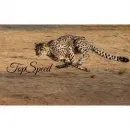 TOP SPEED ENTERPRISES Waste Management in Brooklyn NY