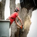 FOUNTAINS CITY TREE SERVICE Tree Service Company in Kansas City MO
