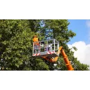 ARCH CITY TREE SERVICES Tree Pruning/trimming in Columbus OH