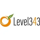 LEVEL343 - INTERNATIONAL MARKETING & SEO COMPANY Internet Marketing Service in San Francisco CA
