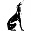 SPEEDWAY VETERINARY HOSPITAL Veterinarians in Tucson AZ