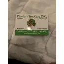 PINEDA'S TREE CARE in Winnetka CA