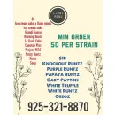 HEMP PLANT NURSERY Home and Garden/Lawn and Garden in San Jose CA