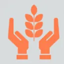 ANJOMI INSURANCE AGENCY in San Jose CA