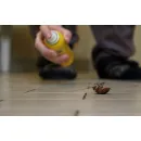 MILITARY CITY TERMITE REMOVAL EXPERTS in San Antonio TX