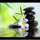 MISSOULA VALLEY MASSAGE Massage Therapists in Missoula MT