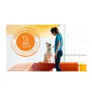 DOGTOPIA OF ORLANDO - EAST Pet Boarding & Kennels in Orlando FL