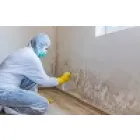 ATCSHENS JOYBD PEST CONTROL