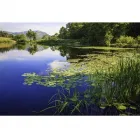 NORTHWEST LAKE CLEANING