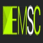 EM SEARCH CONSULTING, LLC.