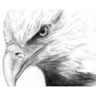 EAGLE POINT ACCOUNTING & TAX INC