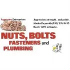 AGGRESSIVE PLUMBING & HANDYMAN