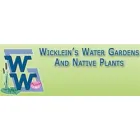 WICKLEINS WATER GARDENS