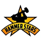 HAMMER STARS, INC