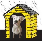 GREGG ROOFING LLC