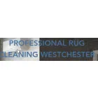 PROFESSIONAL LOCAL RUG CLEANERS