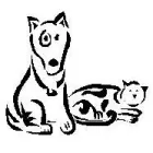 MISSION ROAD ANIMAL CLINIC