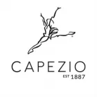 CAPEZIO DANCE THEATRE SHOP