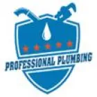 PROFESSIONAL PLUMBING