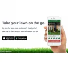 LAWNSTARTER LAWN CARE SERVICE
