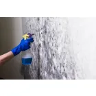 MOLD EXPERTS OF SAN FRANCISCO